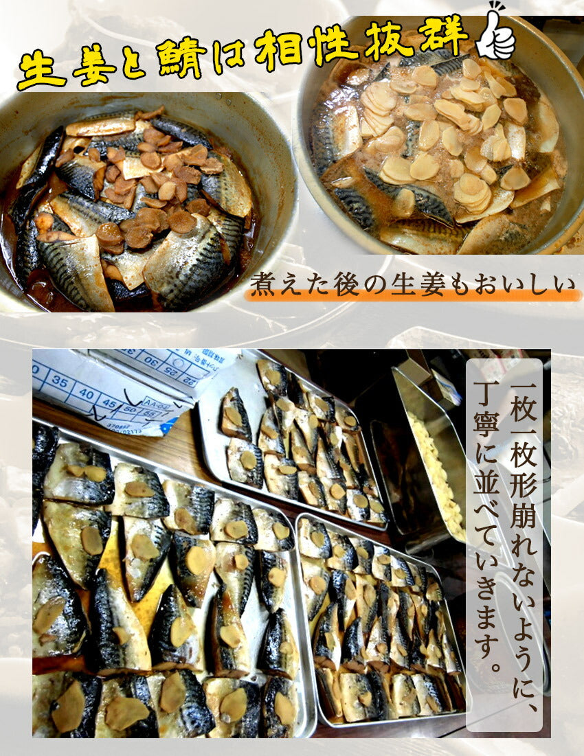 鯖の生姜煮(10パック)