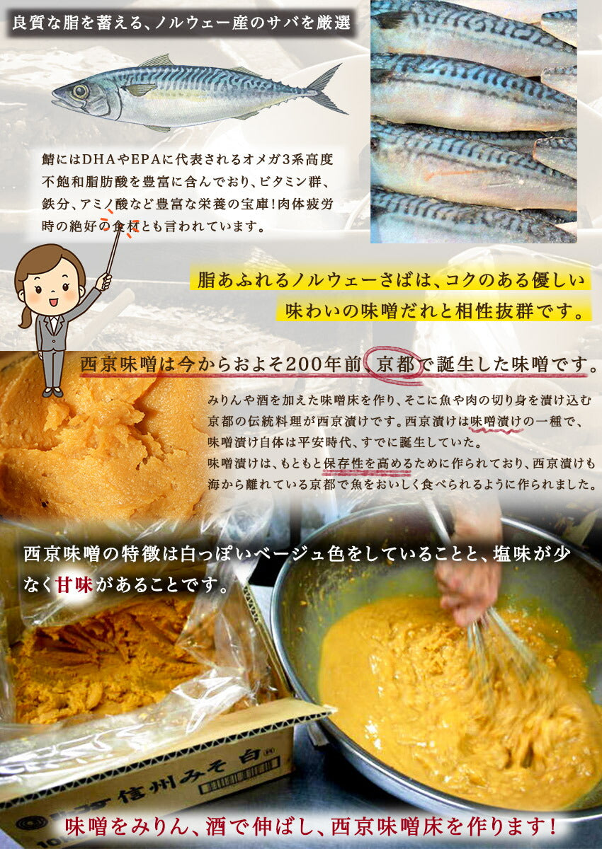 さば西京漬(10パック)