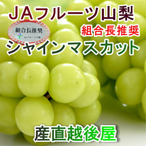 【フルーツ ぶどう ブドウ ハウス栽培】山梨県 ＪＡフルーツ山梨 組合長推奨 シャインマスカット 最高品質 化粧箱3房入り 約1.8kgＪＡフルーツ山梨から産地直送送料無料【果物 贈答品 ギフト】