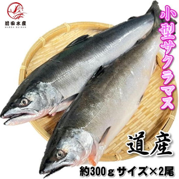 【旬食材！】サクラマス　2本（約300ｇ前後サイズ）　小型　北海道産　冷凍　エラ・腹除去処理済みなので使いやすい！　セミドレス　加熱用　桜鱒　本鱒　母の日　父の日　お中元　お歳暮　フードロス　鱒　ます　マス　鮭鱒