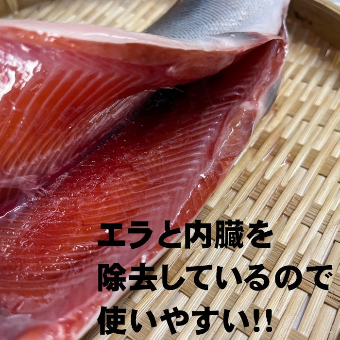 【旬食材！】サクラマス　2本（約300ｇ前後サイズ）　小型　北海道産　冷凍　エラ・腹除去処理済みなので使いやすい！　セミドレス　加熱用　桜鱒　本鱒　母の日　父の日　お中元　お歳暮　フードロス　鱒　ます　マス　鮭鱒
