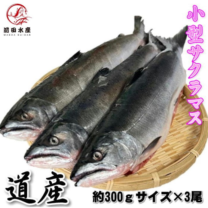 【旬食材！】サクラマス　3本（約300ｇ前後サイズ）　小型　北海道産　冷凍　エラ・腹除去処理済みなので使いやすい！　セミドレス　加熱用　桜鱒　本鱒　母の日　父の日　お中元　お歳暮　フードロス　鱒　ます　マス　鮭鱒