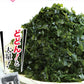 三陸産 カットわかめ 200ｇ