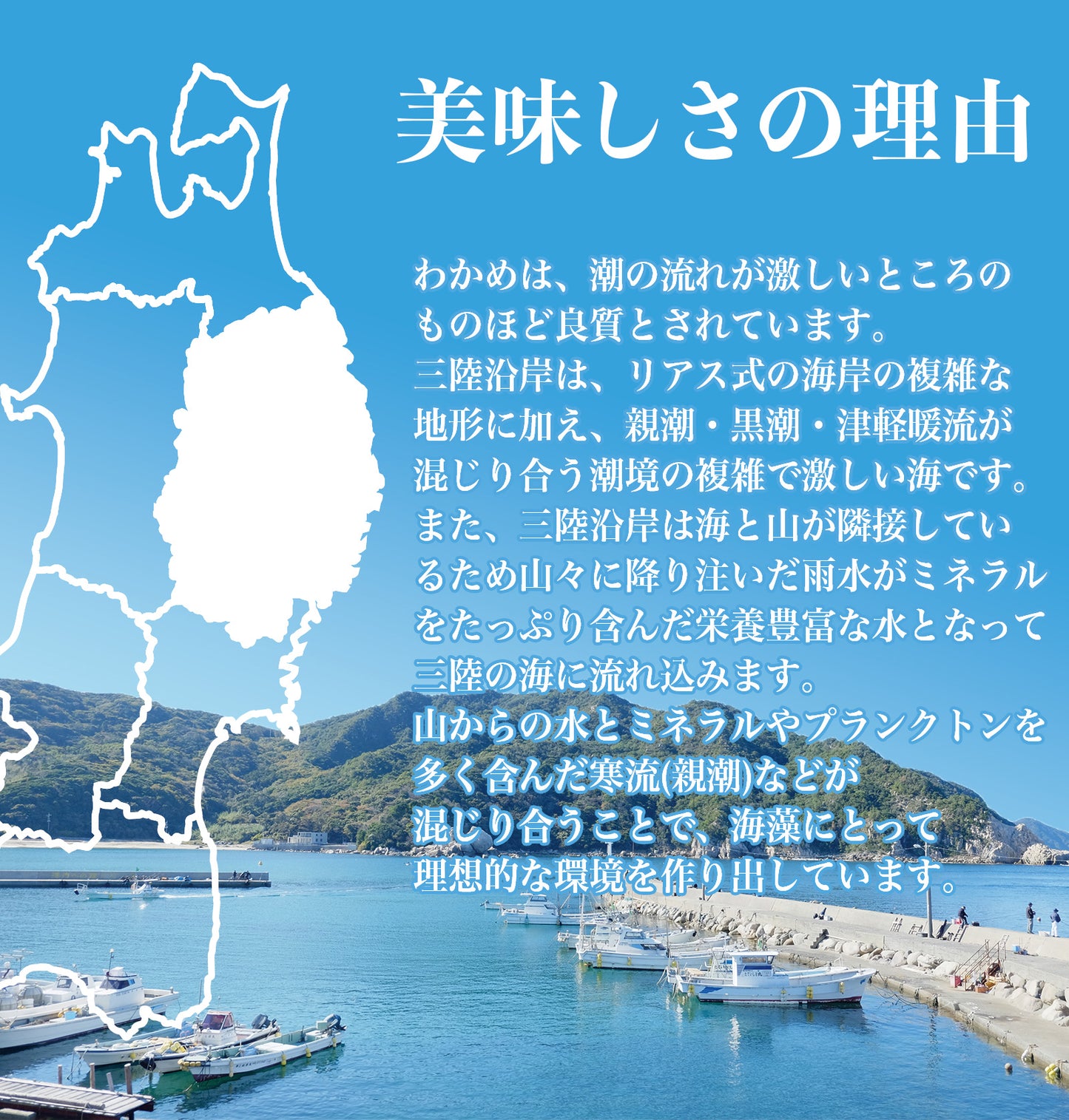 三陸産 カットわかめ 200ｇ
