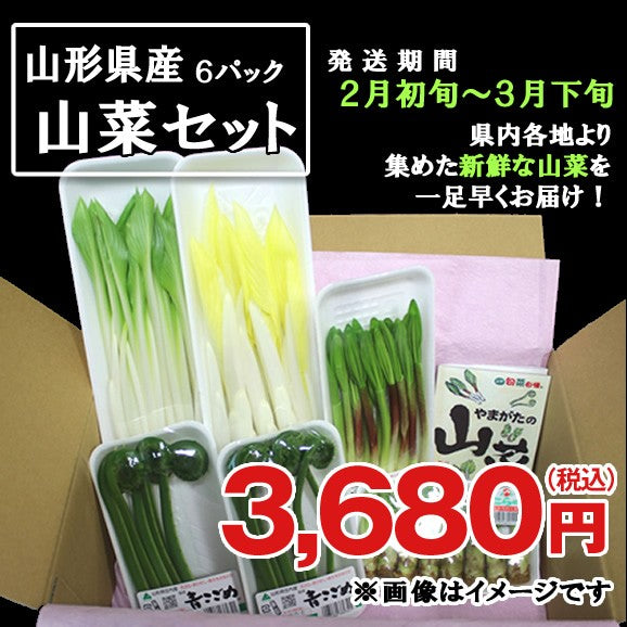 【予約商品】やまがた山菜セット 送料無料※一部地域は別途送料