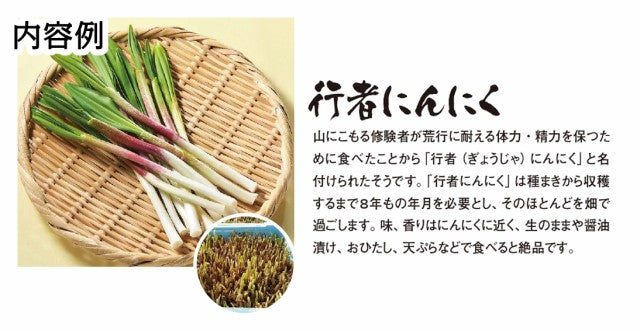 【予約商品】やまがた山菜セット 送料無料※一部地域は別途送料