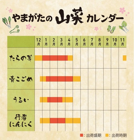 【予約商品】やまがた山菜セット 送料無料※一部地域は別途送料