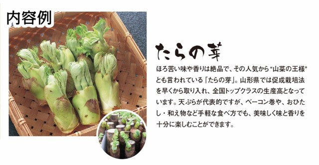 【予約商品】やまがた山菜セット 送料無料※一部地域は別途送料