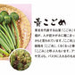 【予約商品】やまがた山菜セット 送料無料※一部地域は別途送料