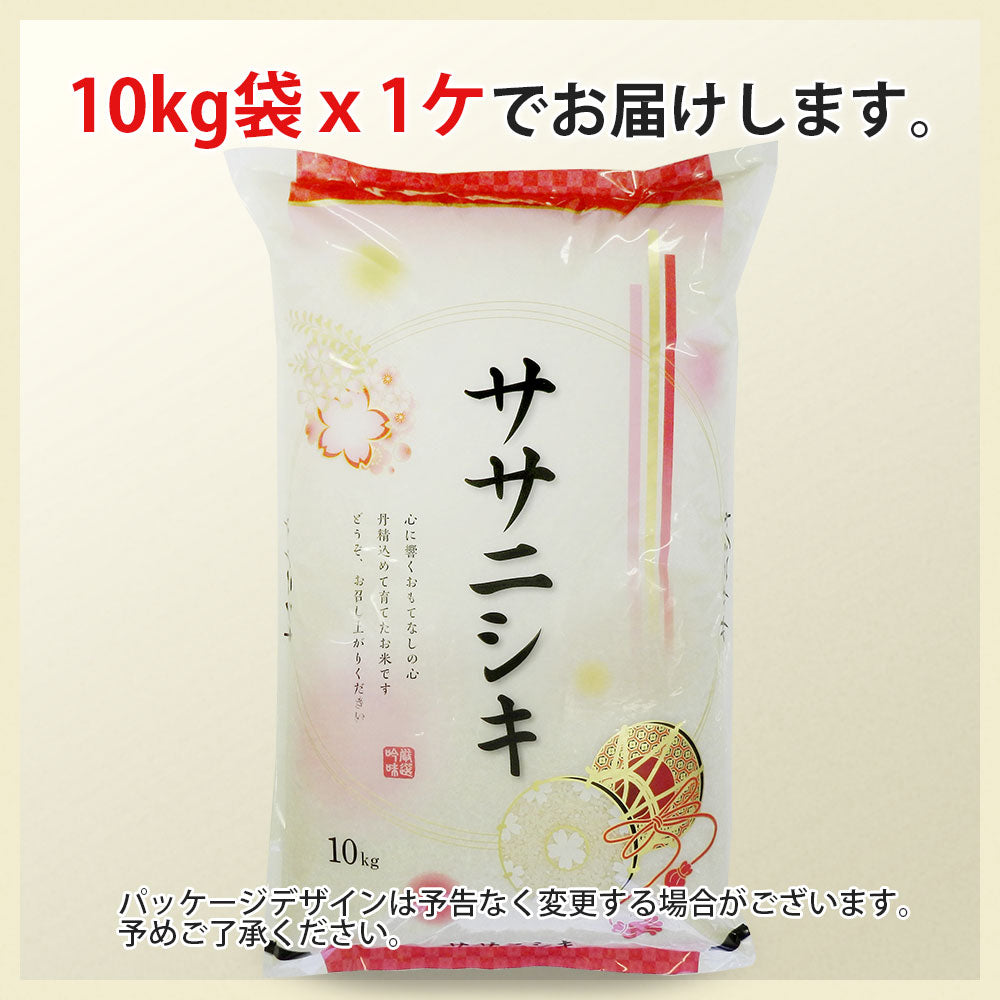ササニシキ 玄米 10kg 山形県産 令和3年産 送料無料 10キロ 米 こめ コメ お米 新米