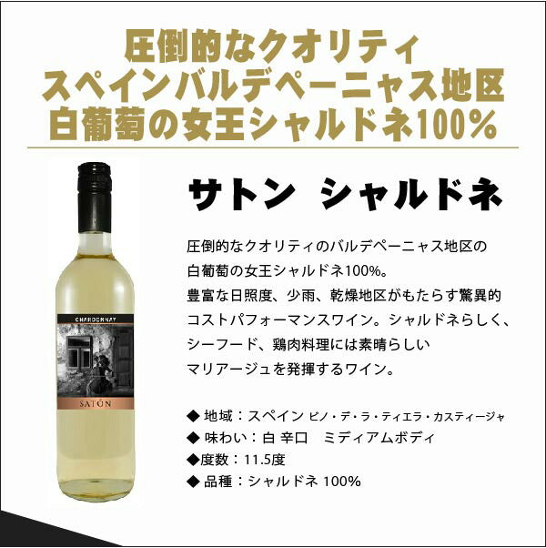 【送料無料】 驚愕のキング オブ ディスカウント ワインセット 第3弾 [750ml×12本]白ワイン6本 泡白6本 ＡＬＬブランセット【北海道・東北・四国・九州・沖縄県は必ず送料がかかります】