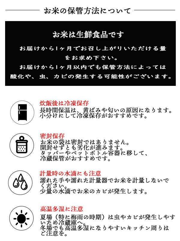 無洗米 コシヒカリ 白米 お米 5kg × 4袋 精米 特別栽培米 20kg ブナの水 特A産地 長野県産 令和3年産 こしひかり 20キロ ギフト 北信産 送料無料