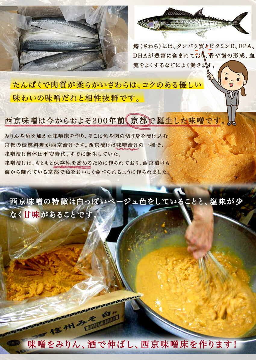 さわら西京漬(10パック)