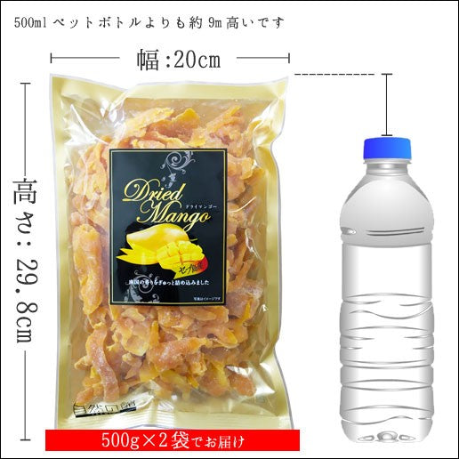1kg セブ島 半生ドライマンゴー 訳あり 不揃い