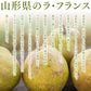 果物 ギフト 送料無料 山形県産洋梨ラフランス約5kg(3L-4L・14-16玉入り) のし対応 お歳暮 ※九州・沖縄・一部離島を除く n16