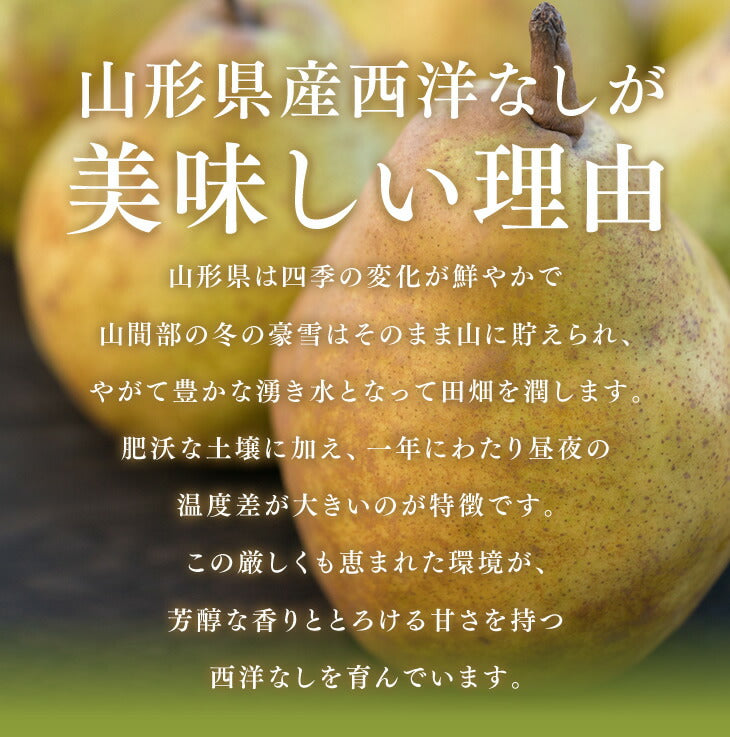 お買い得 西洋梨 山形県産デュ・コミス約3kg(玉数おまかせ) 送料無料※一部地域は別途送料追加