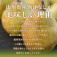 【訳ありお買い得品★西洋梨】山形県産ゼネラルレクラーク約3kg(玉数おまかせ)【送料無料】※一部地域は別途送料追加