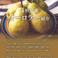 【西洋梨】山形県産 オーロラ 約1.5kg(５玉入)【送料無料】※一部地域は別途送料追加