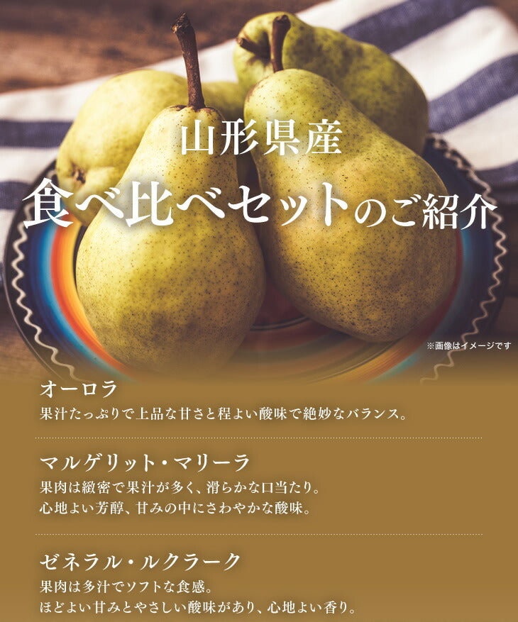 【訳ありお買い得品】山形県産西洋梨食べ比べセット約3kg(8-12玉)【送料無料】※一部地域は別途送料追加