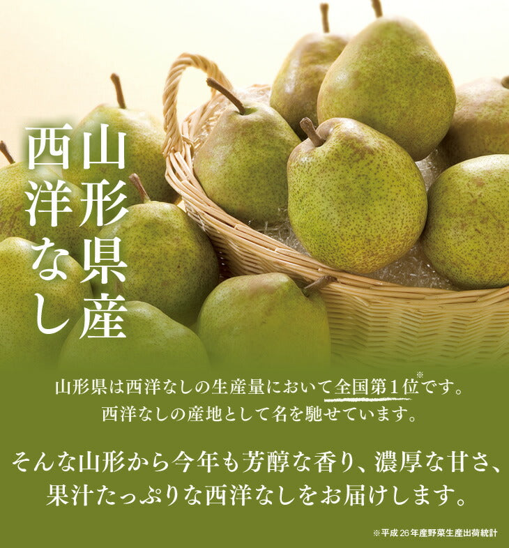 【訳ありお買い得品★西洋梨】山形県産ゼネラルレクラーク約3kg(玉数おまかせ)【送料無料】※一部地域は別途送料追加