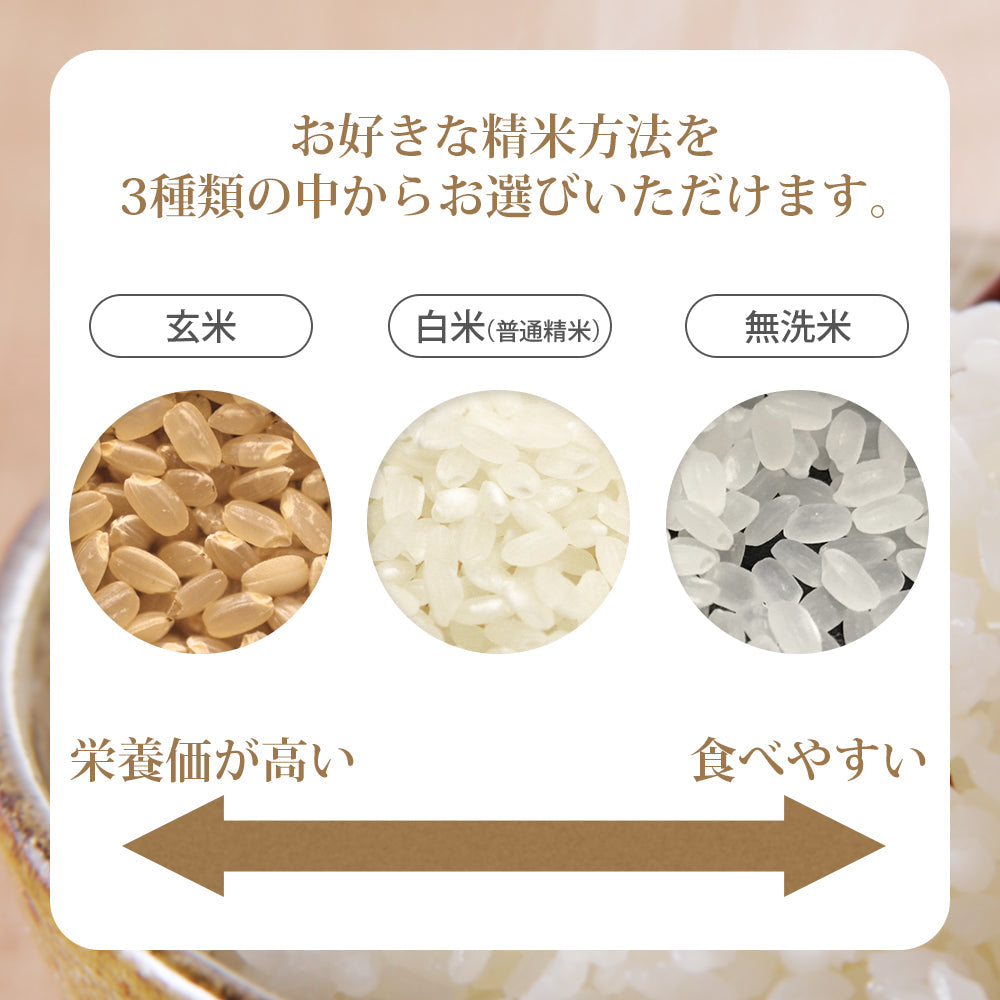 【限定クーポンで20%OFF】【メダカが泳ぐキレイな田んぼで育ったお米】 めだか米 はえぬき 無洗米 20kg (5kg×4袋) 山形県産 令和3年産 送料無料 20キロ 米 こめ コメ お米 精米 新米