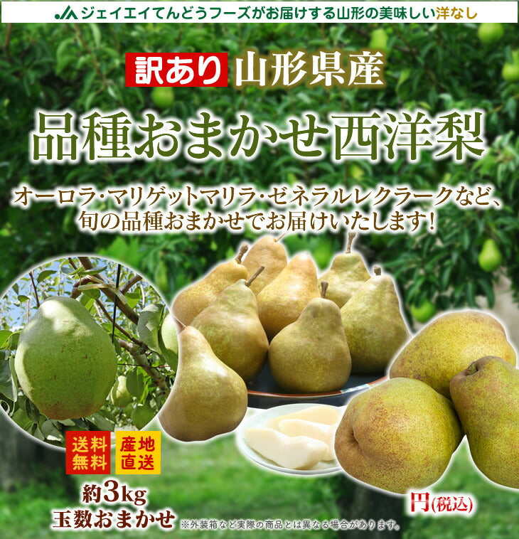 【訳ありお買い得品】山形県産西洋梨品種おまかせ約3kg(玉数おまかせ)【送料無料】※一部地域は別途送料追加