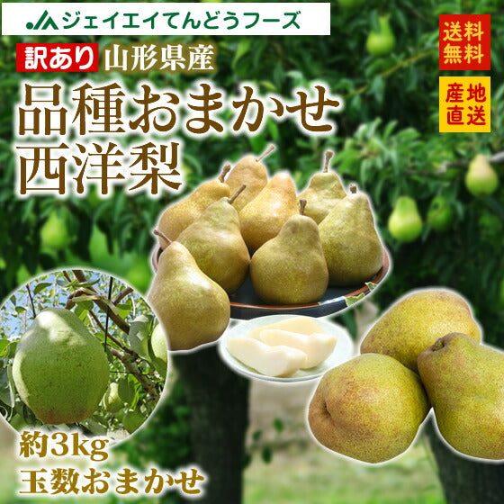 【訳ありお買い得品】山形県産西洋梨品種おまかせ約3kg(玉数おまかせ)【送料無料】※一部地域は別途送料追加