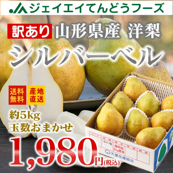 訳あり フルーツ 山形県産西洋梨シルバーベル 約5kg(玉数おまかせ) 送料無料※一部地域は別途送料追加 rf10