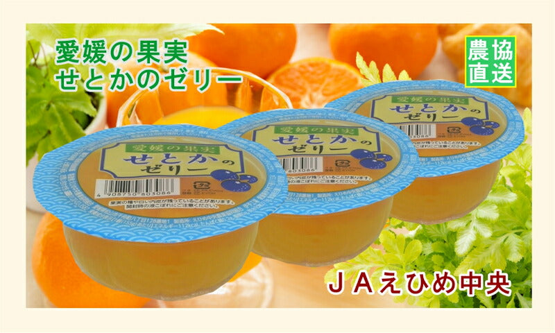 【ゼリー 柑橘類 せとかゼリー 送料無料】愛媛県の農協 JAえひめ中央 愛媛の果実 せとかのカップゼリー せとかのゼリー155ｇ 30個入【お中元 お歳暮 ギフト 贈り物】