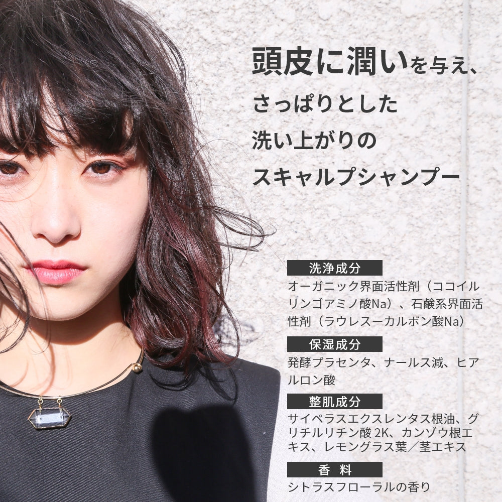 シャンプー トリートメント セット スキャルプケア GRACE HOME BEAUTY No.01 各500ml