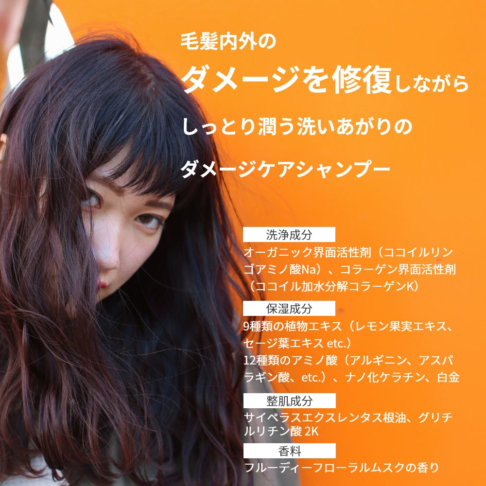 シャンプー トリートメント セット ダメージケア GRACE HOME BEAUTY No.02 各500ml