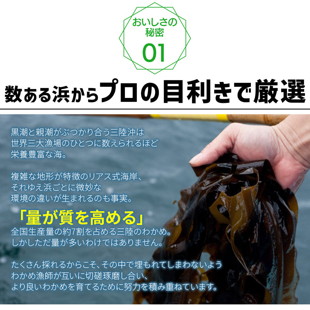 【3人シェア買いでお得】乾燥カットわかめ(80g) 1パック  メール便送料無料