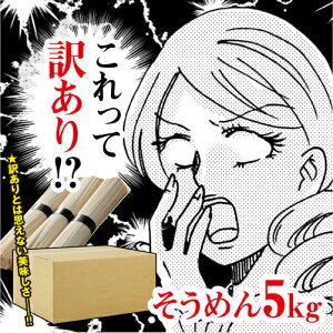 そうめん 非常食 訳あり 島原手延べ そうめん 5キロ 送料無料 100束