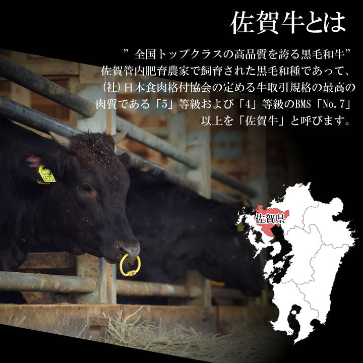牛肉切り落としA5佐賀牛五つ星切り落とし200グラム／2パック