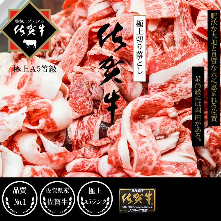 牛肉切り落としA5佐賀牛五つ星切り落とし200グラム／2パック