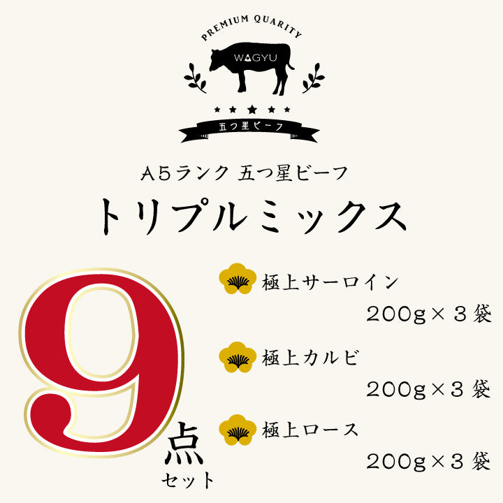 サーロインロースカルビA5サーロインステーキロースカルビ200グラム／各3パック合計9袋セット