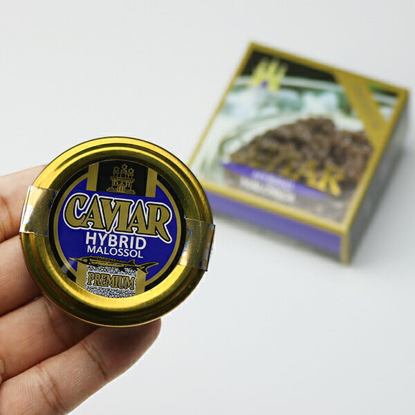 ドイツ産 キャビア 20g ハイブリットキャビア 冷凍便 送料無料 お取り寄せグルメ 食品 ギフト