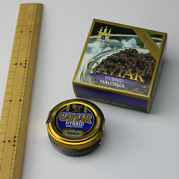 ドイツ産 キャビア 20g ハイブリットキャビア 冷凍便 送料無料 お取り寄せグルメ 食品 ギフト