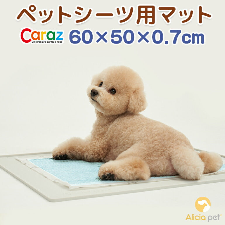 ペットシーツマット Mサイズ 60×50×0.7cm 防水 薄型 ペットシーツ ペットマット ラグ シート シーツ レギュラー ワイド スーパーワイド ペットシート ペット用 犬 猫 おしっこ トイレ 水 厚型 トイレシート ペットアイテム caraz カラズ 【保証付き】