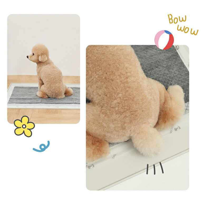 ペットシーツマット Mサイズ 60×50×0.7cm 防水 薄型 ペットシーツ ペットマット ラグ シート シーツ レギュラー ワイド スーパーワイド ペットシート ペット用 犬 猫 おしっこ トイレ 水 厚型 トイレシート ペットアイテム caraz カラズ 【保証付き】