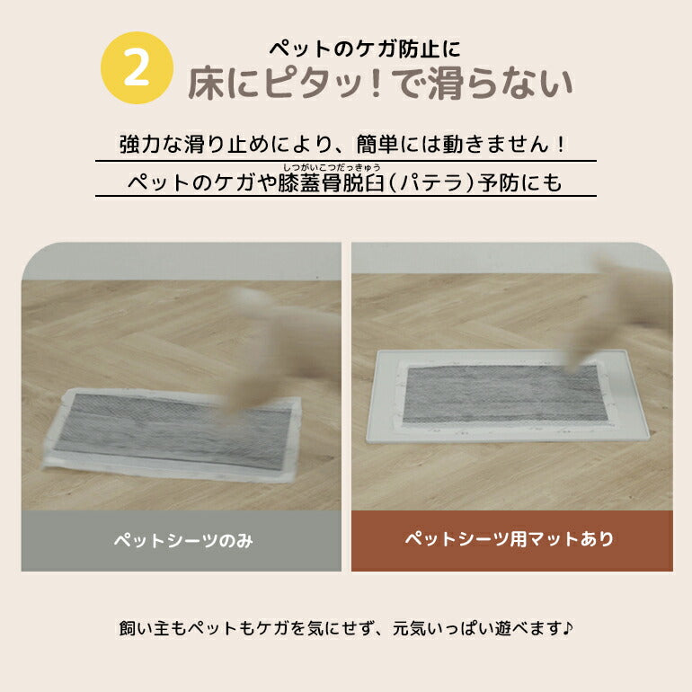 ペットシーツマット Mサイズ 60×50×0.7cm 防水 薄型 ペットシーツ ペットマット ラグ シート シーツ レギュラー ワイド スーパーワイド ペットシート ペット用 犬 猫 おしっこ トイレ 水 厚型 トイレシート ペットアイテム caraz カラズ 【保証付き】