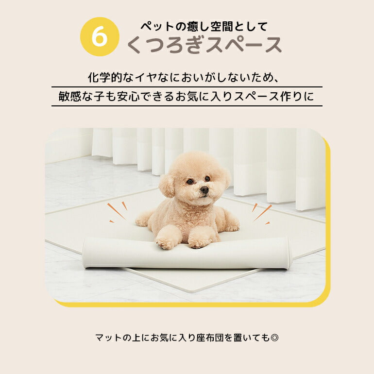 ペットシーツマット Mサイズ 60×50×0.7cm 防水 薄型 ペットシーツ ペットマット ラグ シート シーツ レギュラー ワイド スーパーワイド ペットシート ペット用 犬 猫 おしっこ トイレ 水 厚型 トイレシート ペットアイテム caraz カラズ 【保証付き】