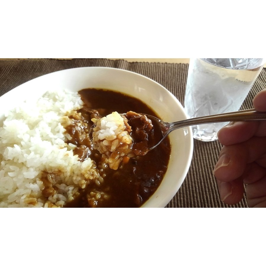 200g 4食セット イブ美豚 イノブタ レトルト カレー