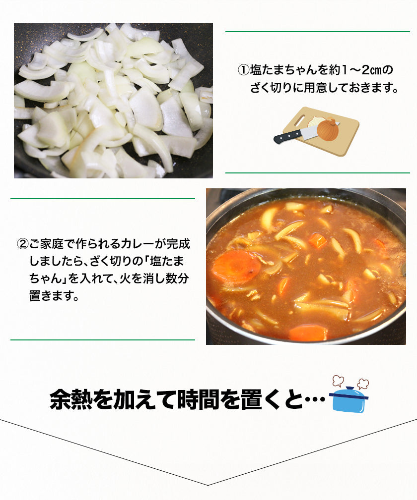 熊本県産 訳あり 塩たまちゃん 玉ねぎ たまねぎ 10kg 【5L-2Sサイズ不選別】 子出藤 (ねでふじ)