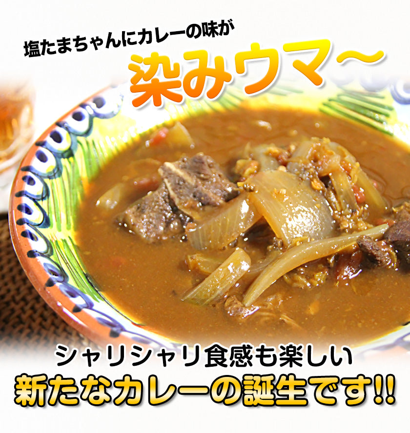 熊本県産 訳あり 塩たまちゃん 玉ねぎ たまねぎ 5kg 【5L-2Sサイズ不選別】 子出藤 (ねでふじ)