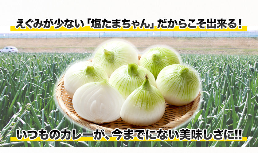 熊本県産 訳あり 塩たまちゃん 玉ねぎ たまねぎ 10kg 【5L-2Sサイズ不選別】 子出藤 (ねでふじ)