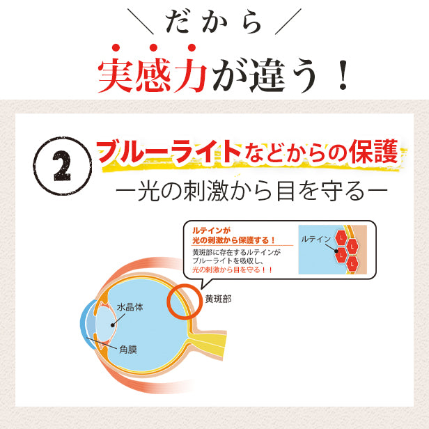 機能性表示食品 シリョクル ルテイン 1袋 1カ月分 ［ルテイン スマホ老眼  目 サプリ ブルーベリー ゼアキサンチン アスタキサンチン ブルーライト ビルベリー サプリメント 健康食品 リモート 在宅 えんきん 眼精疲労 コンタクト アイケア 瞳］