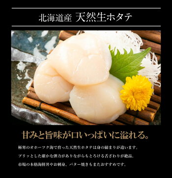 【先着10購入限定・16%OFF】海鮮グルメセット-舌鼓-