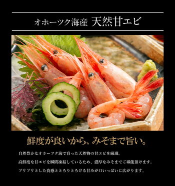 【先着10購入限定・16%OFF】海鮮グルメセット-舌鼓-