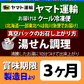メガ盛り10種10食中華福袋セット